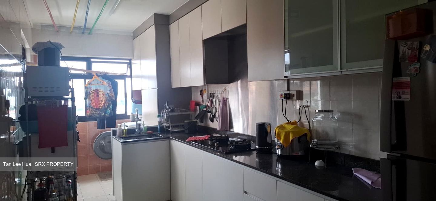 Blk 4B Boon Tiong Arcadia (Bukit Merah), HDB 4 Rooms #523934311